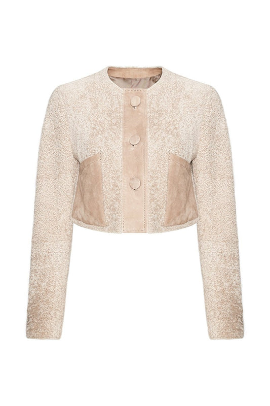 Lily Women's Teddy Curly Shearling Cropped Jacket - Beige - Bigardini